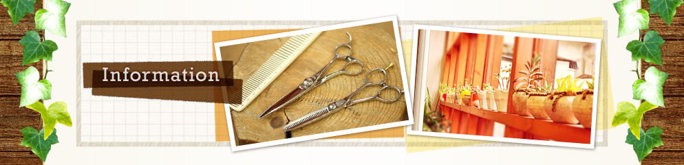 インフォメーション