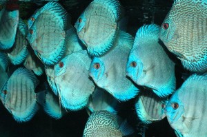 691f14072ae2bd682a10412e1b79c272